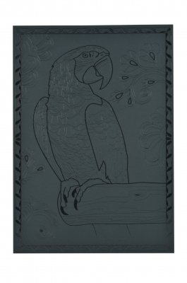 PARROT